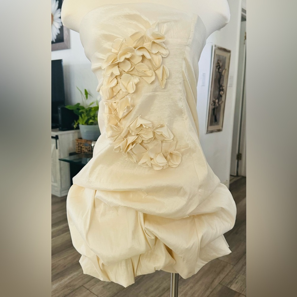 Wishes, Wishes, Wishes. Women’s dress, Size 9, cream color.